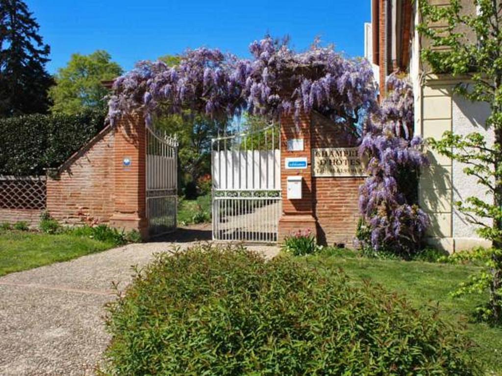 Chambres d'Hotes Au Château Saint-Nicolas-de-la-Grave Quarto foto